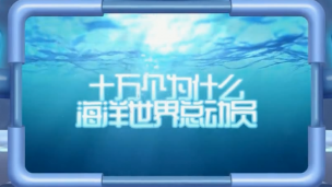 给孩子的第一堂海洋课